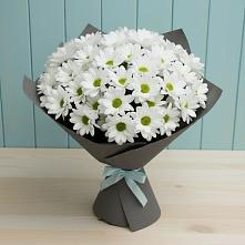 Букет цветов из:  Хризантемы в Юрюзани